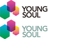 Shanghai Young Soul Electronics Technology Co.,Ltd.